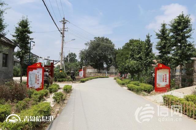 信號(hào)山：勇立潮頭 繪就鄉(xiāng)村振興齊魯樣板美麗畫卷