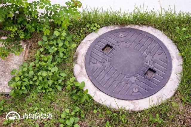 假如“信網(wǎng)不信訪”的阮主任舉報內(nèi)容屬實，對人民的傷害有哪些？