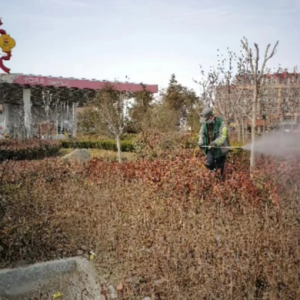 金陽(yáng)光環(huán)衛(wèi)扎實(shí)開展樹木病蟲害 防治工作