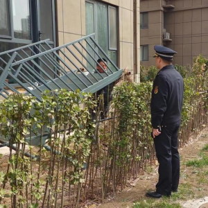 還綠于民 鳳臺執(zhí)法中隊(duì)開展聯(lián)合整治圈占公共綠地行為