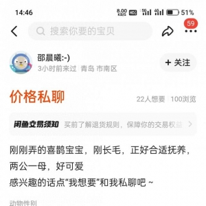 二手交易平臺(tái)上有人售賣(mài)喜鵲幼鳥(niǎo) 公安機(jī)關(guān)已介入調(diào)查