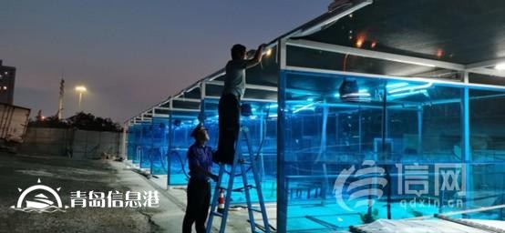 寧夏路街道著手違建拆除行動(dòng) 積極推動(dòng)城市更新進(jìn)程