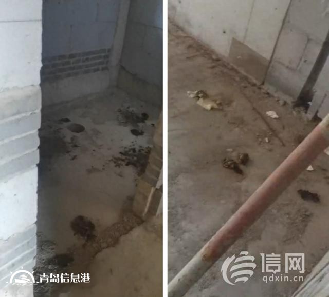雙利東旭未來城延期交房 開發(fā)商稱將于明年集中交付