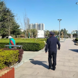 同和中隊:執(zhí)法巡查筑防線，園林綠化綻新顏