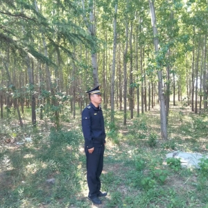 同和中隊(duì)：春風(fēng)里的護(hù)花使者，執(zhí)法巡查守護(hù)春日綠意