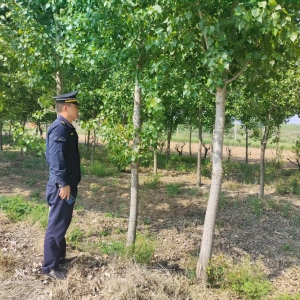 同和中隊：守護城市綠脈，繪就生態(tài)新圖