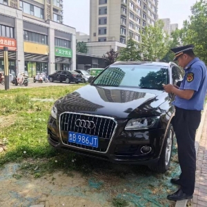 守護(hù)城市公共綠地 鳳臺執(zhí)法中隊(duì)整治占綠停車現(xiàn)象