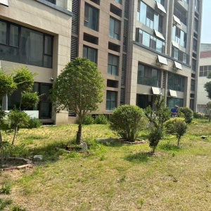 同和中隊(duì)：以鐵腕執(zhí)法守護(hù)城市綠脈，讓生態(tài)之美永駐人間