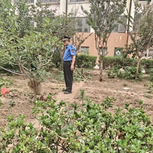 平度市東閣街道執(zhí)法中隊(duì)“信用+”整治占綠毀綠，守護(hù)公共綠地 ...