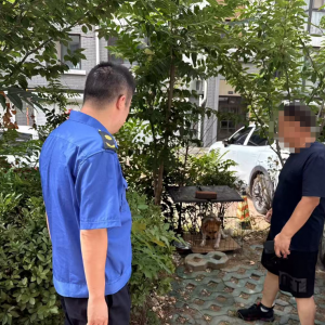 平度市東閣街道執(zhí)法中隊(duì)推進(jìn)文明養(yǎng)犬，共筑和諧宜居城市