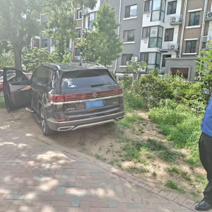 平度市東閣街道執(zhí)法中隊(duì)整治占綠毀綠亂象，維護(hù)公共利益