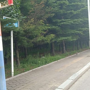 同和中隊(duì)：清除城市“牛皮癬”，小廣告執(zhí)法巡查記