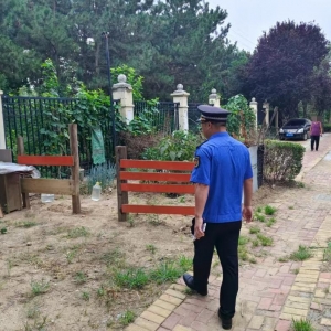 平度市東閣街道執(zhí)法中隊“信用+”聚焦占綠毀綠，全鏈條守護(hù)城市綠地 ...