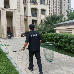 鳳臺執(zhí)法中隊：整治流浪犬 筑牢安全防線